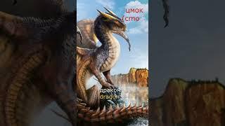 Беларуская мова. Што такое цмок?