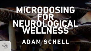 Adam Schell: BRAINSUPREME, Microdosing for Neurological Wellness | The Great Unlearn 127
