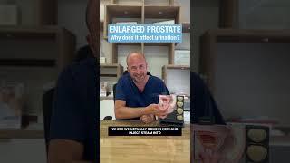 Steinberg Urology: Enlarged Prostate why does it affect urination?