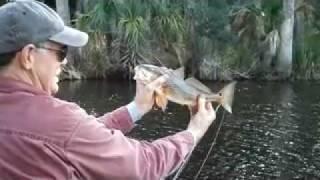 Fishin' the Freshwater Lakes of St. Vincent N.W.R.