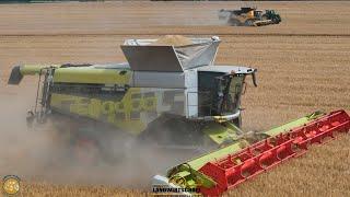 Die Mähdrescher Konkurrenz CLAAS LEXION 500.000 Edition 8xxx? VS 2 New Holland 10.90 Getreideernte