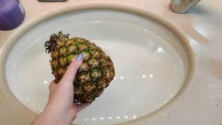 Does a pineapple float?