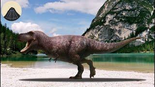 Why did T. rex and Other Dinosaurs Have Tiny Arms