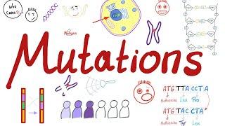 Types of Mutations | Changes in the Gene Pool | Genetic Drift | Biology 