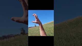 Toltec Monk - Pushing A Bad Feeling Away