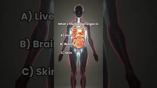 Only 1% Can Get All 3 Right  | Quiz Yourself with These Crazy Facts