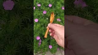 Моя похідна ложка з аличі!