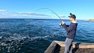 Insane Land Based Fishing at this ICONIC Pier !!