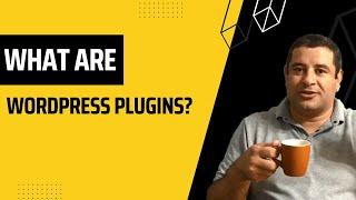 What Are WordPress Plugins?