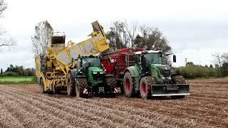 JohnDeere 6R215-Keiler II, Fendt 826 Dezure Überlader, DAF, Mercedes LKW.