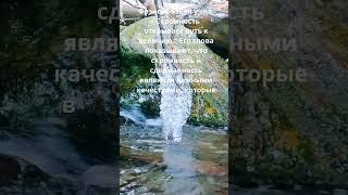 Как скромность ведет к величию? #Саморазвитие #ЛичностныйРост #Мудрость #МудростьЖизни #Библия