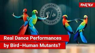 FACT CHECK: Viral Video Shows Real & Magical Dance Performances by Bird–Human Mutant Creatures?