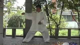 Chenyu Chen Taijiquan 74 (Better Quality) 陈瑜陈式太极拳74式