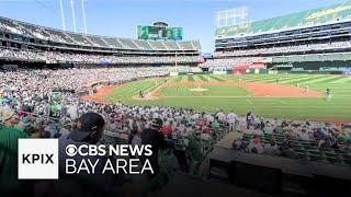 Fans tailgate at Coliseum on A's final weekend in Oakland