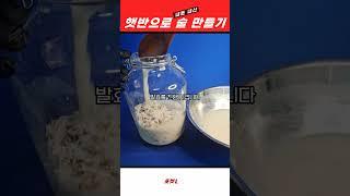 햇반으로 막걸리를 만드는 방법