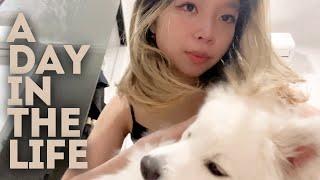 a day in the life of an ex-vtuber || vlog (eng/vietsub)