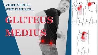 Gluteus Medius Pain | Fix Buttocks Pain & Sacral Pain With Posture Exercises