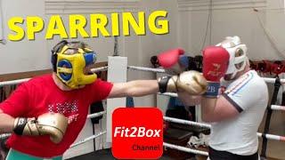 Fit2Box BOXING SPARRING