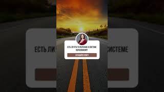 Есть ли что-то полезное в системе образования