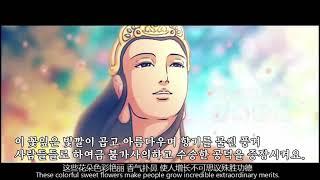 서방정토 극락세계--