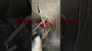 tunnel is long