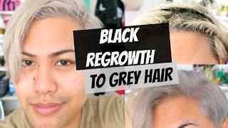 How to get Black Roots to Grey | ThePopHeir | Hair Video