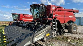 Case IH 9260 vs 9250 vs Hurricane Helene ( Day 15& 16 of محصول) Season 5 Episode 29