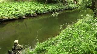 Howard Croston's Dry Fly Fishing Masterclass