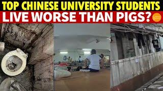 Top Chinese University Students Live Worse Than Pigs? Over 100 High Schoolers Crammed Like a Camp