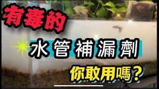 水管補漏劑 你看過燈科魚在堵漏劑裡游泳嗎? 冷熱水管漏水 水管漏水藥劑