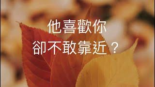 塔羅占卜他喜歡你 卻不敢靠近？