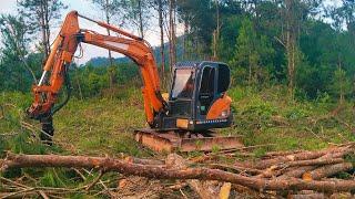 máy gắp gỗ kiếm 10 triệu 1 ngày
