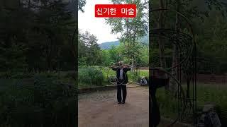 신기한 마술을 보여 주는 두창균 선생님 #평창 #허브나라 #깜짝쇼 #화숙tv