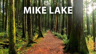 Beautiful Relaxing Forest Walk to Mike Lake in Golden Ears Park, Maple Ridge BC Canada