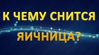 ТОЛКОВАНИЕ СНОВИДЕНИЙ - Что значит сон про ЯИЧНИЦУ?