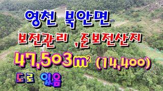 20-152, 영천임야,영천토지,영천땅, 영천북안면 다용도임야매매