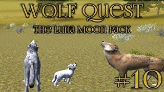 Wolf Quest  Luna's Nightmare! - Episode #10