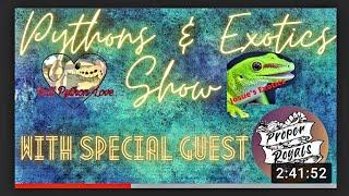 Ball Python Guest Appearance - Adam Visits Pythons and Exotics Show!!
