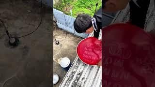 Ném bóng khổng lồ