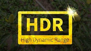 How to use Merge to HDR in Photoshop Tutorial