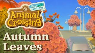 Cleaning up the Autumn leaves in ACNH | Animal Crossing New Horizons 