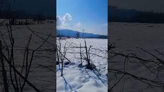 White snow sheet #kashmir #paradise #snow || #beautiful #field #shorts