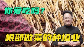 农村暴利种植业，5个月收入63万，亩产7500斤，看懂今年别错过【三农雷哥】