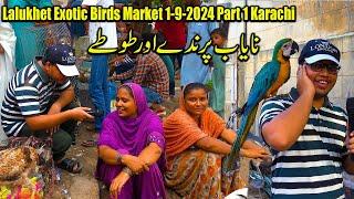 Lalukhet Exotic Birds and Parrots Market Part 1 Karachi 1-9-24 | Rare and Unique Hen and Rooster