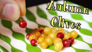 AUTUMN OLIVES - A Foraged Fruit That Sparkles - Weird Fruit Explorer