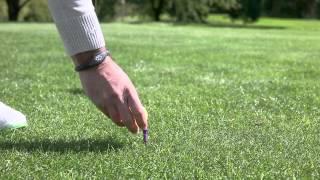 Smart Golf Tee - The Smart Golfers Tool