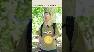 【史楍酼】一招教会你“气沉丹田”#站桩 #养生 #zhanzhuang