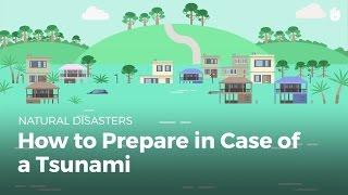 How to Prepare in Case of a Tsunami | Disasters