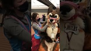 Fursuit Muzzle!? #furry #furrys #furries #fursuit #fursuiter #furrytrash #furrycringe #furrycon #owo