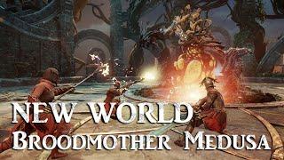 New World Aeternum - The Hive of Gorgons [Broodmother Medusa]